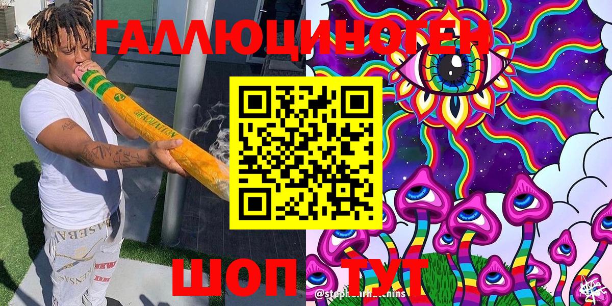 Псилоцибиновые грибы Psilocybe Заводоуковск