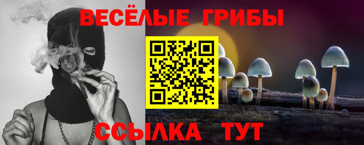 Заводоуковск  Псилоцибиновые грибы GOLDEN TEACHER  Галлюциногенные грибы мухоморы  Вход с VPN 